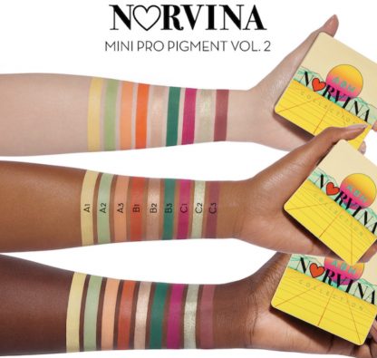 Norvina® Mini Pro Pigment Palette Vol. 2 ANASTASIA - Imagen 3