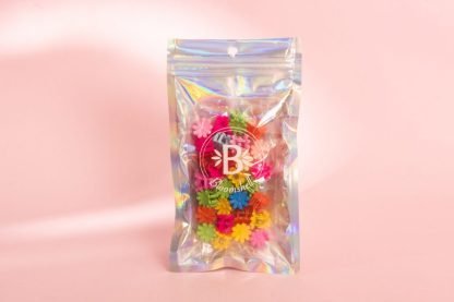 BLOOMSHELL Mini Pinzas