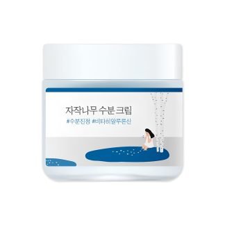 ROUND LAB Birch Juice Moisturizing Cream 2.7 Fl Oz,