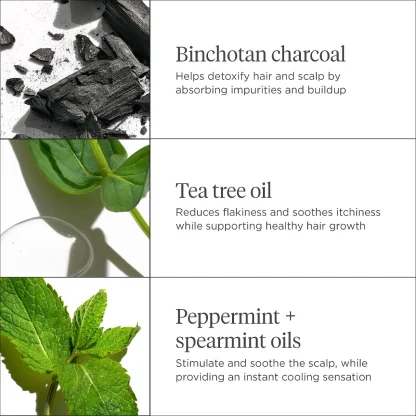 Briogeo  Scalp Revival™ Charcoal + Tea Tree Cooling Hydration Mask for Dry, Itchy Scalp 59ml - Imagen 3
